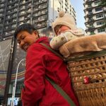 O ‘imposto sobre preservativos’ da China provoca reação enquanto Pequim luta para reverter o colapso populacional