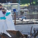 Ondi Timoner sobre como seu documento de incêndio em Altadena visa ajudar a curar e impedir execuções hipotecárias