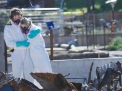 Ondi Timoner sobre como seu documento de incêndio em Altadena visa ajudar a curar e impedir execuções hipotecárias Ondi Timoner sobre como seu documento de incêndio em Altadena visa ajudar a curar e impedir execuções hipotecárias