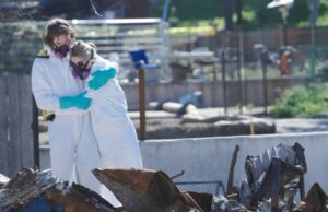 Ondi Timoner sobre como seu documento de incêndio em Altadena visa ajudar a curar e impedir execuções hipotecárias Ondi Timoner sobre como seu documento de incêndio em Altadena visa ajudar a curar e impedir execuções hipotecárias