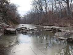Operador de drone compartilha imagens incríveis de cena inesperada capturada pela câmera: ‘Meu coração disparou’ Yahoo news home