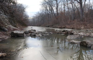 Operador de drone compartilha imagens incríveis de cena inesperada capturada pela câmera: ‘Meu coração disparou’ Yahoo news home