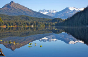 Os 5 estados da América com mais lagos Um urso pardo e sua família ao lado de um lago no Alasca