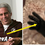 Não sei quem é essa pessoa, mas ela está vestindo um moletom de Harvard, sentada, com as mãos entrelaçadas e olhando para baixo com um leve sorriso