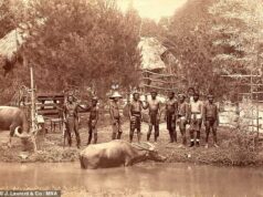 Os horríveis zoológicos humanos: imagens chocantes mostram como tribos “primitivas” foram enjauladas ao lado de animais para serem admiradas pelos ocidentais Uma das poucas imagens existentes do zoológico humano de Madrid, que exibiu pessoas da tribo filipina Igorot durante seis meses em 1887 no icônico Parque do Retiro