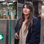 Os nova-iorquinos batem novas catracas anti-tarifas que emitem um alarme desagradável: 'Desperdício de dinheiro'