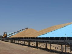 Os números continuam elevados apesar das proibições de colheita, do tempo húmido e dos cortes de energia Os números continuam elevados apesar das proibições de colheita, do tempo húmido e dos cortes de energia