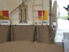 Os recordes continuam caindo à medida que os grãos continuam chegando às instalações da CBH Os recordes continuam caindo à medida que os grãos continuam chegando às instalações da CBH