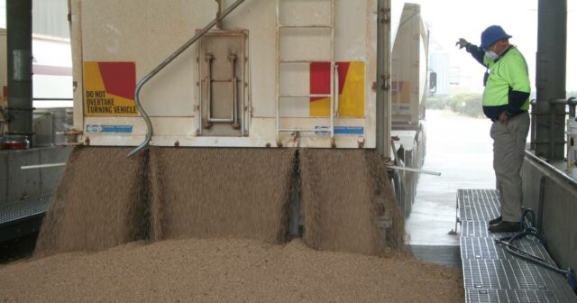 Os recordes continuam caindo à medida que os grãos continuam chegando às instalações da CBH
