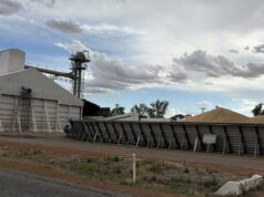 Os recordes continuam caindo em locais de todo o cinturão de grãos do estado Os recordes continuam caindo em locais de todo o cinturão de grãos do estado