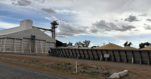 Os recordes continuam caindo em locais de todo o cinturão de grãos do estado
