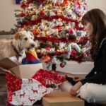 Leonardo DiCaprio em uma batalha após a outra