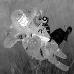 Gabinete do Xerife do Condado de Collier/Facebook Imagens do resgate