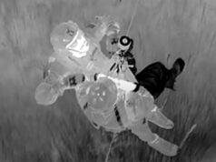 Pai e filho presos são resgatados após serem cercados por ‘crocodilos famintos’ em Everglades, Flórida Gabinete do Xerife do Condado de Collier/Facebook Imagens do resgate