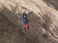 Paramédicos resgatam pescador arpão da encosta de um penhasco em Sydney Paramédicos resgatam pescador arpão da encosta de um penhasco em Sydney