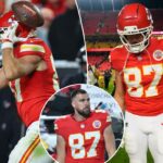 logotipo de fantasia azarão