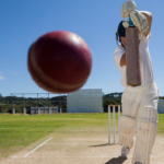 Partida de Vijay Hazare em Chinnaswamy teve permissão negada após revisão de debandada