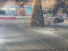 Passeio noturno termina em desastre quando o motorista bate na imponente árvore de Natal diante das câmeras Passeio noturno termina em desastre quando o motorista bate na imponente árvore de Natal diante das câmeras