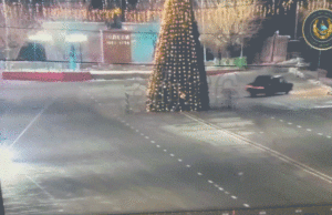 Passeio noturno termina em desastre quando o motorista bate na imponente árvore de Natal diante das câmeras Passeio noturno termina em desastre quando o motorista bate na imponente árvore de Natal diante das câmeras