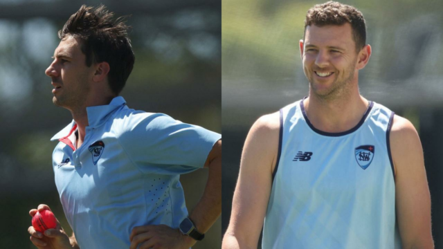`Pat Cummins e Josh Hazlewood provavelmente farão parte da seleção australiana`: McDonald
