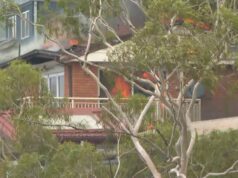 Pelo menos uma casa foi danificada quando o fogo atingiu a costa central de NSW Pelo menos uma casa está em chamas como resultado de um incêndio florestal em Koolewong.