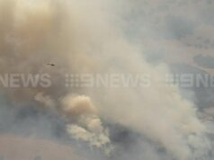 Pelo menos uma casa perdida no incêndio florestal de Geraldton, teme-se que o incêndio tenha sido aceso deliberadamente Pelo menos uma casa perdida no incêndio florestal de Geraldton, teme-se que o incêndio tenha sido aceso deliberadamente
