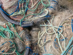 Pesquisadores fazem grandes avanços que podem transformar o que acontece com o lixo comum: “A digitalização não é apenas para indústrias de alta tecnologia” Yahoo news home