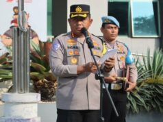 Plantio de milho em Tigaraksa entra em fase de avaliação e prepara melhorias no terreno Plantio de milho em Tigaraksa entra em fase de avaliação e prepara melhorias no terreno