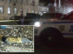 Policial da polícia de Nova York atira e mata louco empunhando um estilete na frente de seus pais Cortador de caixa com cabo enrolado em fita adesiva em um chão manchado.