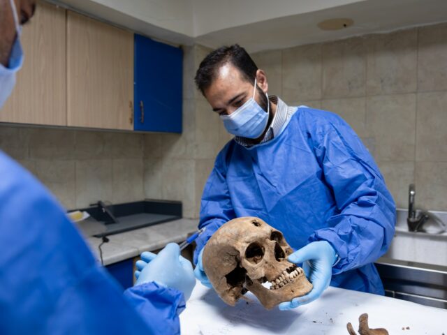 Por dentro da luta da Síria para identificar os desaparecidos Este armário está cheio de costelas descobertas em uma única vala comum. O Dr. Al Hourani, líder do centro, acredita que poderá levar até quatro anos para identificar as vítimas retratadas. (Harriet Tatham/Al Jazeera)