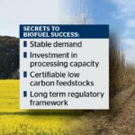 Por que o boom dos biocombustíveis na Austrália não proporcionará prêmios aos agricultores na forma atual