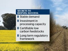 Por que o boom dos biocombustíveis na Austrália não proporcionará prêmios aos agricultores na forma atual Por que o boom dos biocombustíveis na Austrália não proporcionará prêmios aos agricultores na forma atual