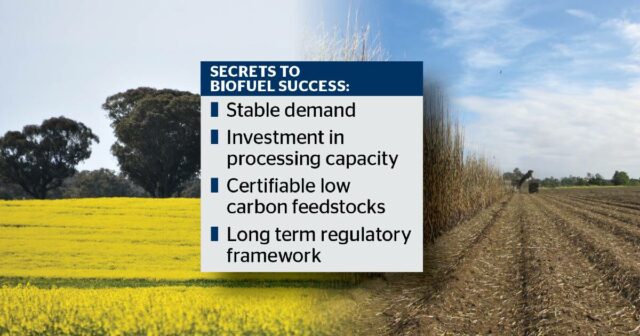 Por que o boom dos biocombustíveis na Austrália não proporcionará prêmios aos agricultores na forma atual
