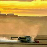 Por que o revendedor de máquinas apregoa resultados promissores para esta nova colheitadeira