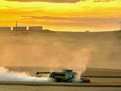 Por que o revendedor de máquinas apregoa resultados promissores para esta nova colheitadeira Por que o revendedor de máquinas apregoa resultados promissores para esta nova colheitadeira