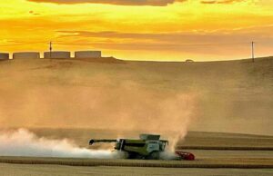 Por que o revendedor de máquinas apregoa resultados promissores para esta nova colheitadeira Por que o revendedor de máquinas apregoa resultados promissores para esta nova colheitadeira