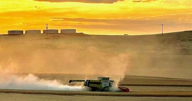 Por que o revendedor de máquinas apregoa resultados promissores para esta nova colheitadeira
