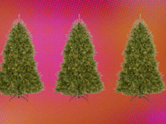 Precisa de uma árvore de Natal? Os membros do Amazon Prime podem economizar 66% neste Dunhill Fir pré-iluminado Precisa de uma árvore de Natal? Os membros do Amazon Prime podem economizar 66% neste Dunhill Fir pré-iluminado