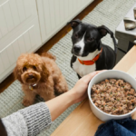 Presenteie seu filhote com 50% de desconto na primeira caixa da The Farmers Dog