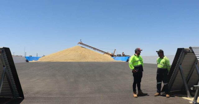 Principais atualizações de infraestrutura adotadas pelos produtores na unidade Central Wheatbelt
