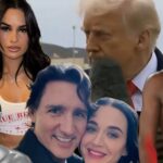 ano em análise 6-10