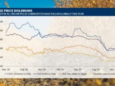Produtores são incentivados a serem realistas em relação aos preços ao comercializarem safras monstruosas de leguminosas Produtores são incentivados a serem realistas em relação aos preços ao comercializarem safras monstruosas de leguminosas