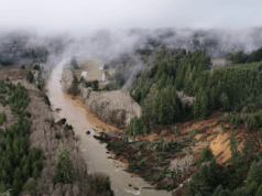 ‘Pura devastação’ do deslizamento de terra da OR 229 desloca residentes enquanto as autoridades avaliam os danos Um deslizamento de terra ocorreu perto do rio Siletz, destruindo uma seção da OR 229 e impactando casas próximas.