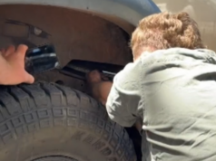 Python pega carona no carro de um motorista desavisado na fronteira entre Queensland e NSW cobra