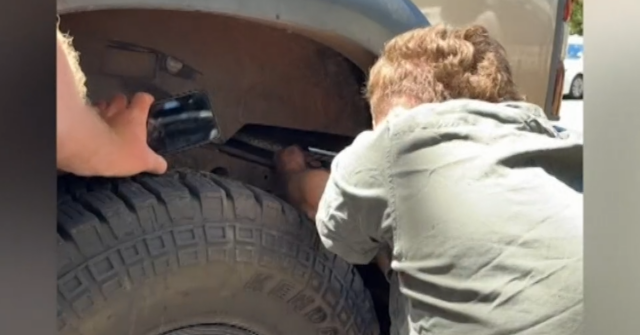 Python pega carona no carro de um motorista desavisado na cobra