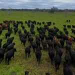 Quando o dinheiro não é barreira, aqui estão as propriedades importantes para investir