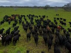 Quando o dinheiro não é barreira, aqui estão as propriedades importantes para investir Quando o dinheiro não é barreira, aqui estão as propriedades importantes para investir