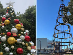 ‘Que vergonha’: incendiários incendeiam a árvore de Natal de uma cidade rural Uma cidade em dificuldades de NSW está arrasada porque sua árvore de Natal foi destruída por incendiários a menos de duas semanas do feriado.