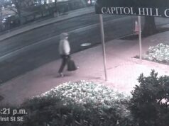 Quem é Brian Cole, preso por plantar bombas caseiras em Washington em 2021? Quem é Brian Cole, preso por plantar bombas caseiras em Washington em 2021?