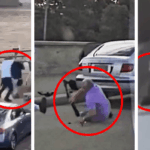 Quem são os heróis que lutaram contra os terroristas durante o tiroteio em massa em Bondi Beach?